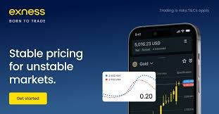 Enhancing Your Trading Experience with Exness Live Chat 19