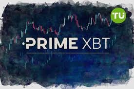 Copy Trading on PrimeXBT NL